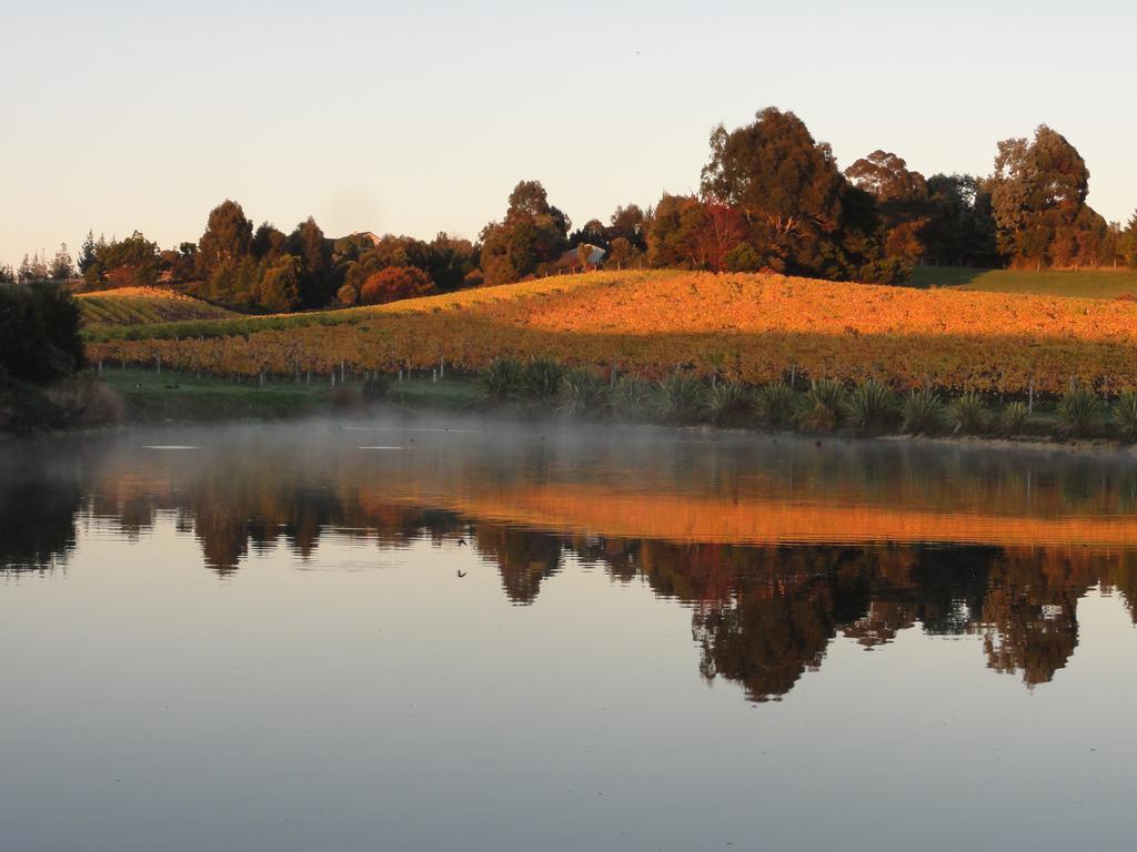 Pine Hill Lodge In Vineyard Mapua Exteriér fotografie